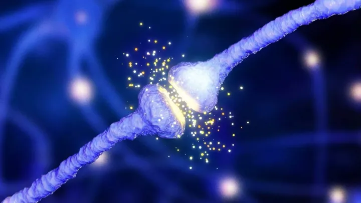 A Unifying Theory for Alzheimer’s Emergence