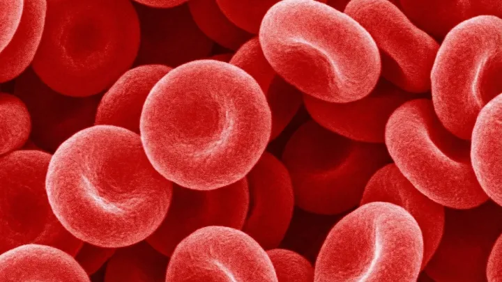 High altitude may quietly reshape blood sugar