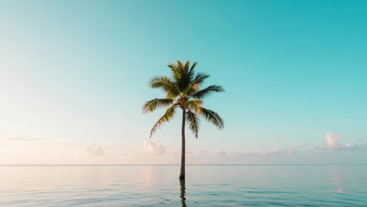 How the Coconut Engineered an Ocean-Proof Seed