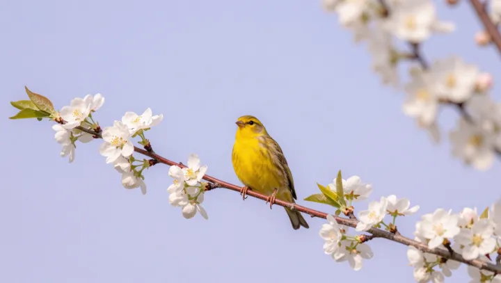 Why a blazing yellow bird vanishes in green