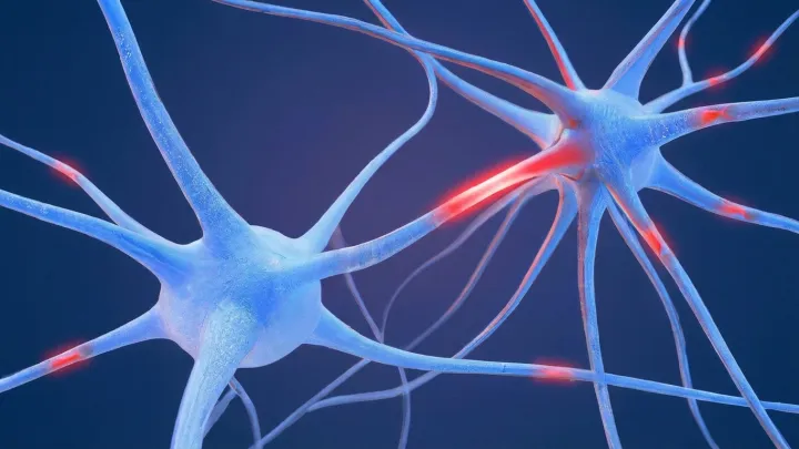 Psychedelics Leave a Distinct Neural Fingerprint