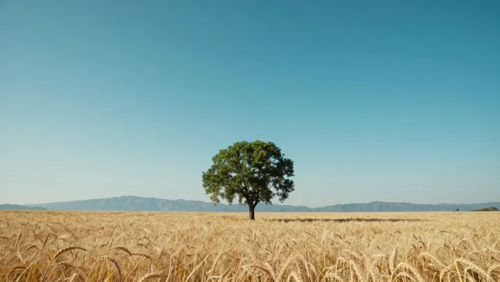 Как одно дерево тайно растит лес