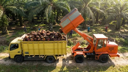 Industri sawit Malaysia bina daya tahan global