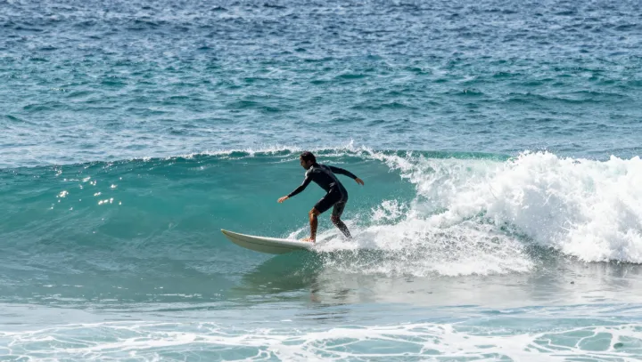 Серфинг между ужасом и покоем