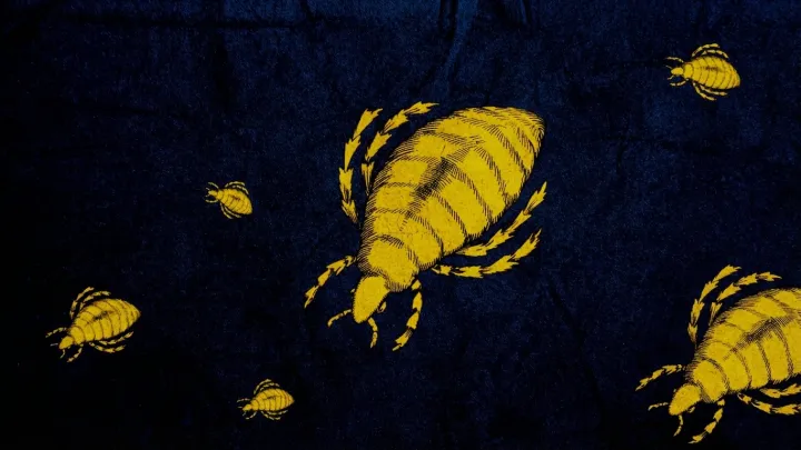 Victorian ‘Scourge’ Returns To Modern Hospitals