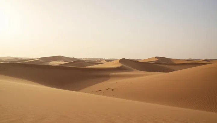 Почему пустыня помнит лучше городов