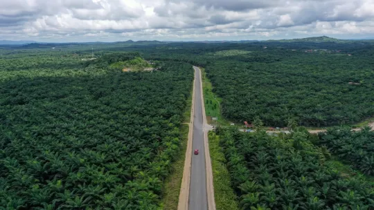 Bioplastik Berasaskan Sawit Tetap Menjadi Pilihan Utama Dalam Krisis Rantaian Bekalan