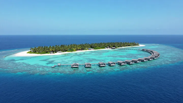 Life Thrives On The Seafloor Without Sunlight