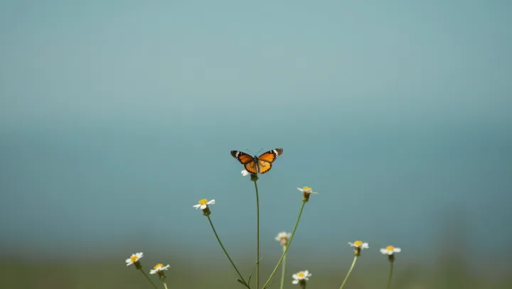 Когда жрущий листы червяк становится бабочкой