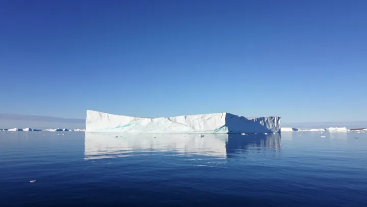 Thin Sea Ice With Outsized Climate Power