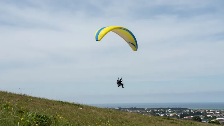 Why Gen Z Keeps Jumping Out of Planes