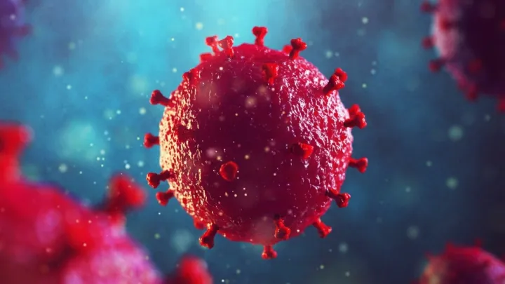 Rare HIV Remission Achieved After Sibling Stem Cell Transplant