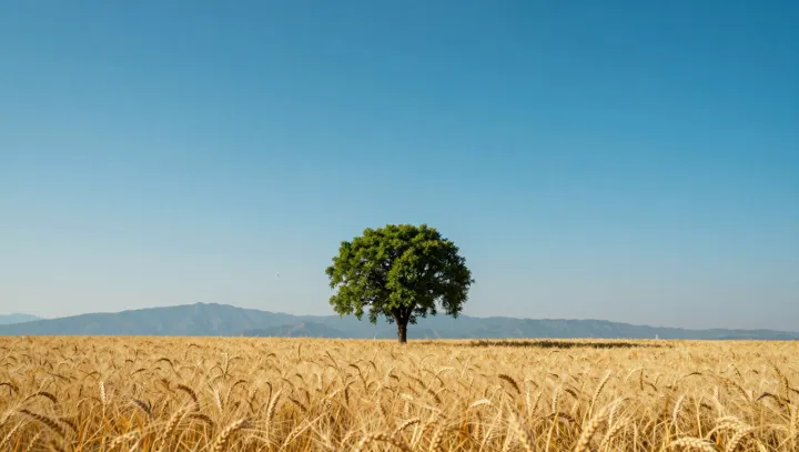 The Ancient Tree That Behaves Like a Forest