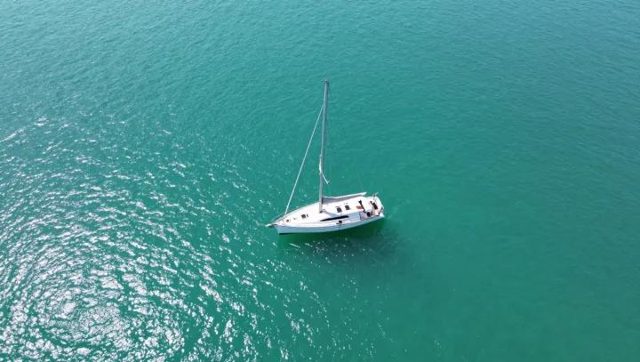 Why a Yacht Works Like a Social Lab