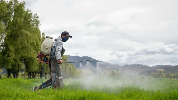 Weed Killer Under Suspicion in Young Colon Cancer
