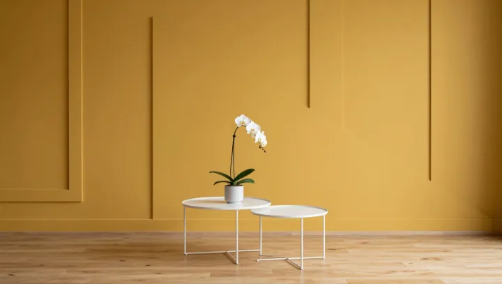 The Calm Wall That Is Barely Yellow