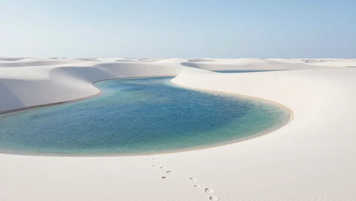 The Paradox of Earth’s So‑Called Wet Deserts