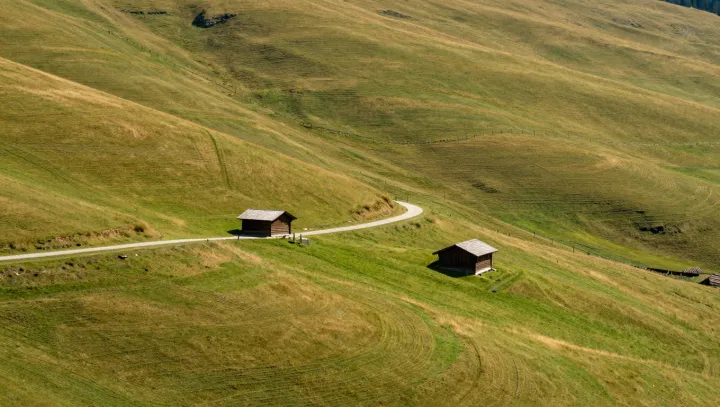 Постоять в поле — и отпускает