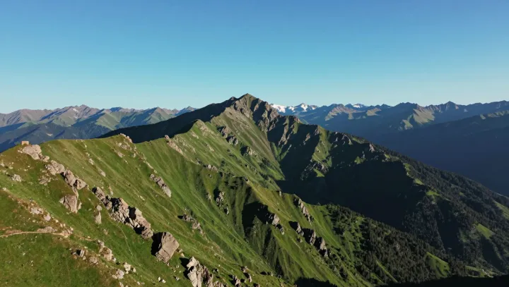 How a Single Shadow Fakes Real Depth