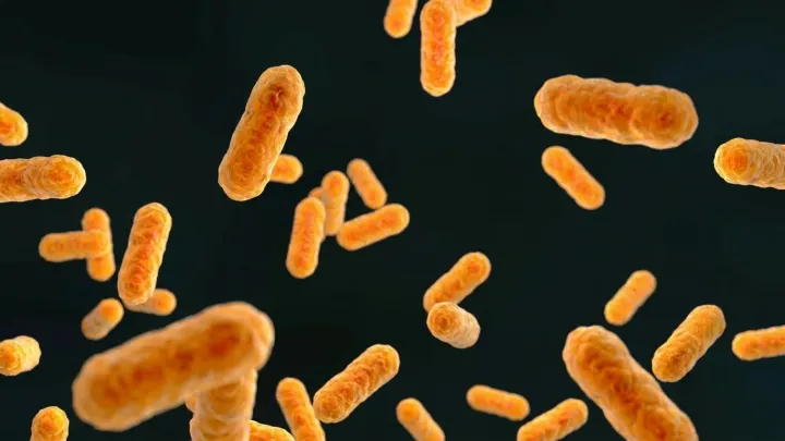 Pasadena probes whooping cough cluster