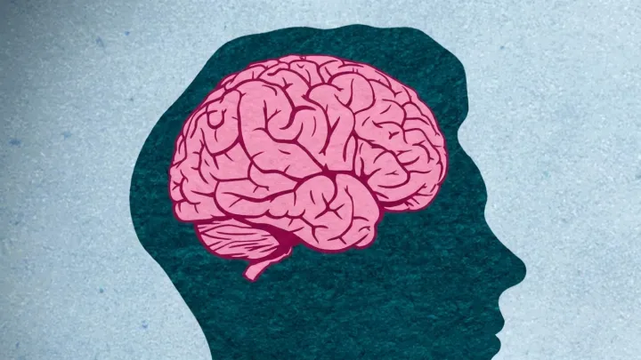 Brain Risk Scoring: An Innovative Approach to Fighting Dementia