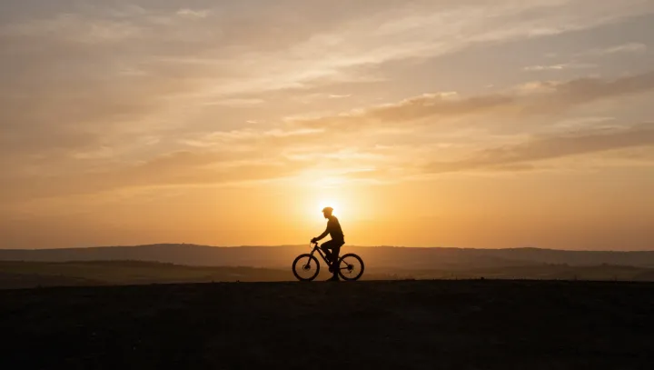 Why Your Brain Fights The Trips That Calm It