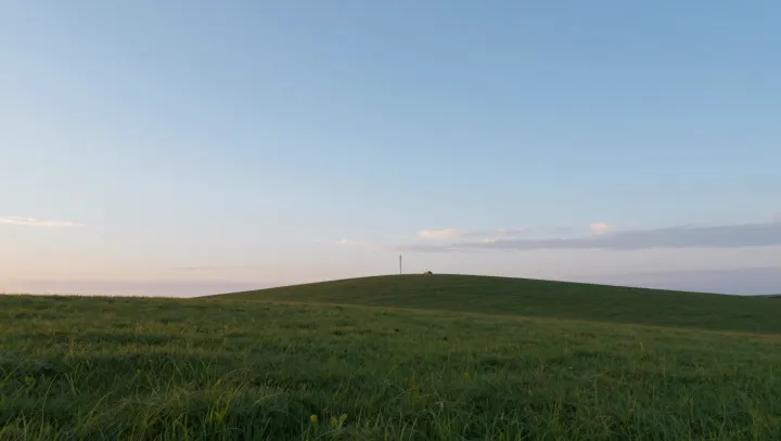Why Bare Summer Grasslands Beat Forests on Carbon