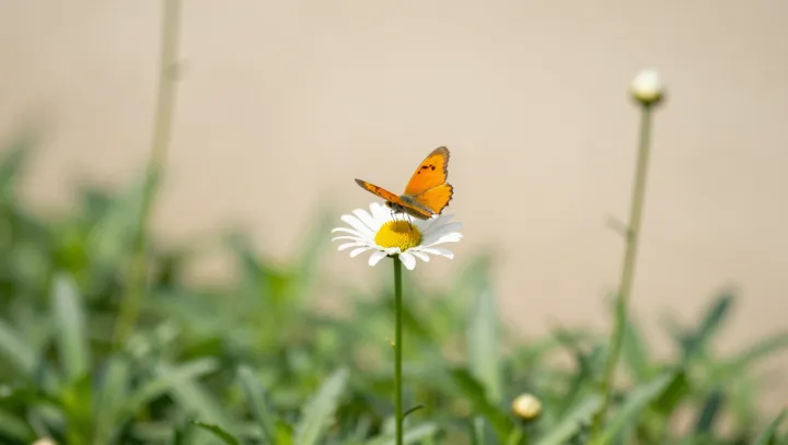 What Butterflies Really Sip From Flowers