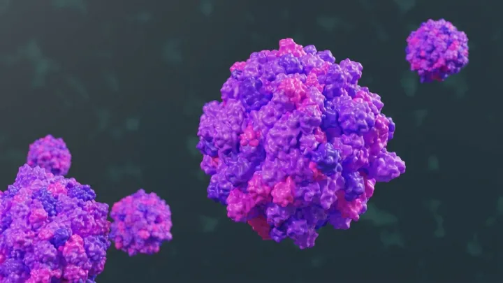 Norovirus hits Princess ship off Florida