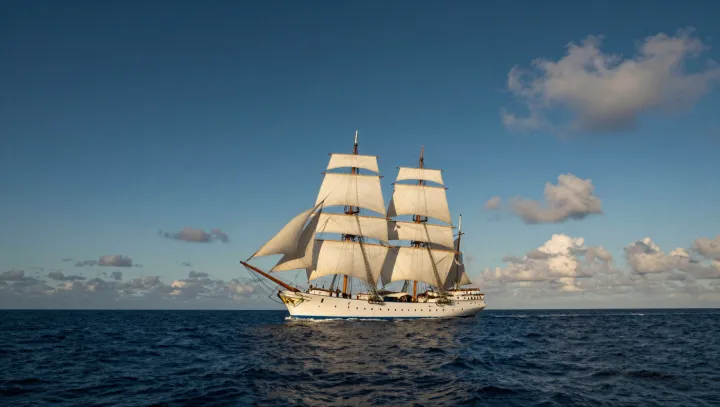 Harbors Built For A Water-First Species