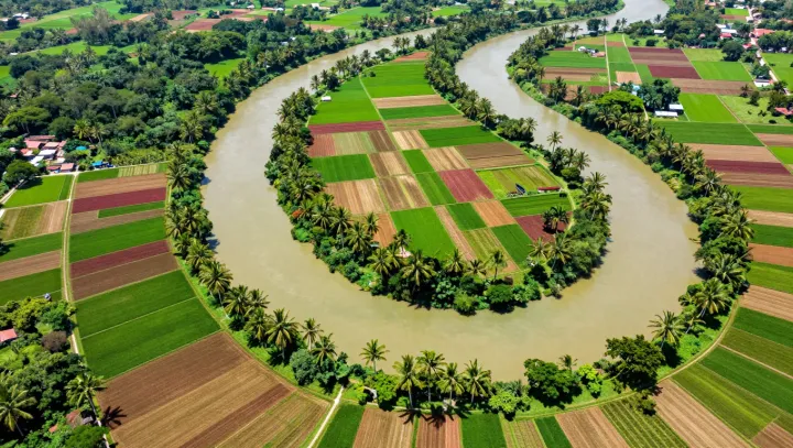The planet can feed more, yet fails
