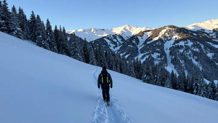 Your First Snow Summit Is A Biology Test
