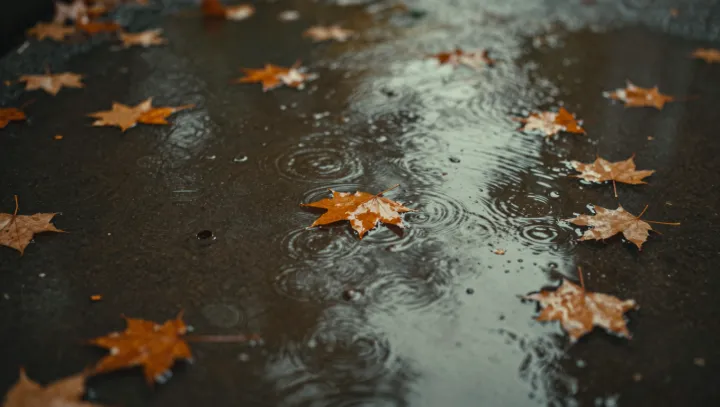 Why rain turns ordinary streets cinematic