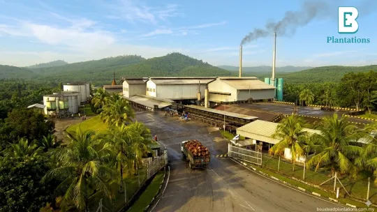 LTAT laksana kajian pasaran terperinci sebelum penjualan Boustead Plantations