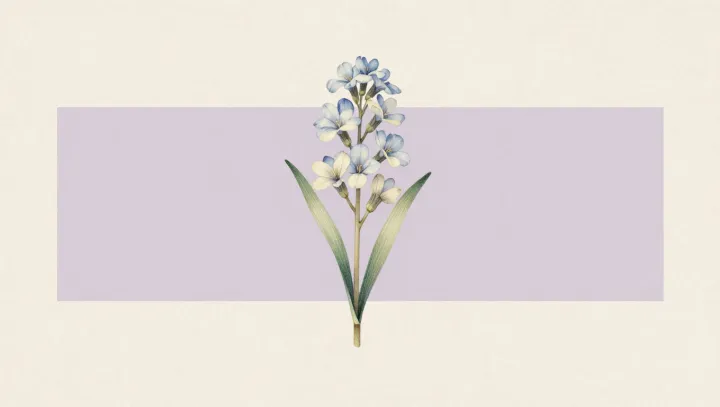The scentless iris that powers violet luxury
