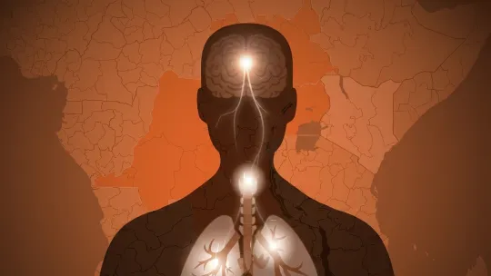 Mapping the Bundibugyo Ebola surge