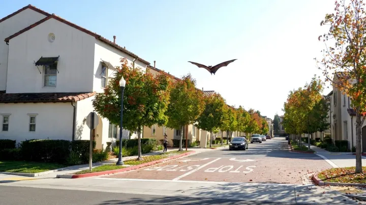 Rabid Bat Near Homes Prompts Police Alert