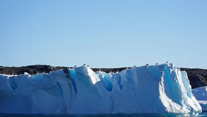 Billionaires Want To Tow Icebergs To The Desert