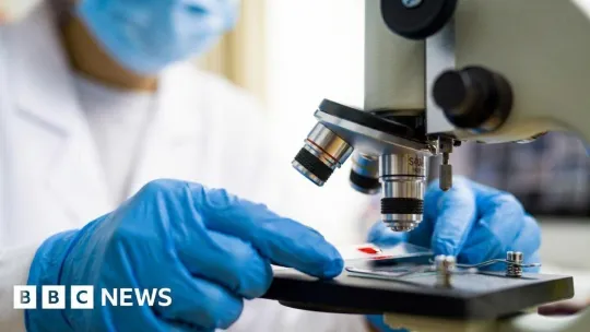 Brazil flags two suspected Ebola cases