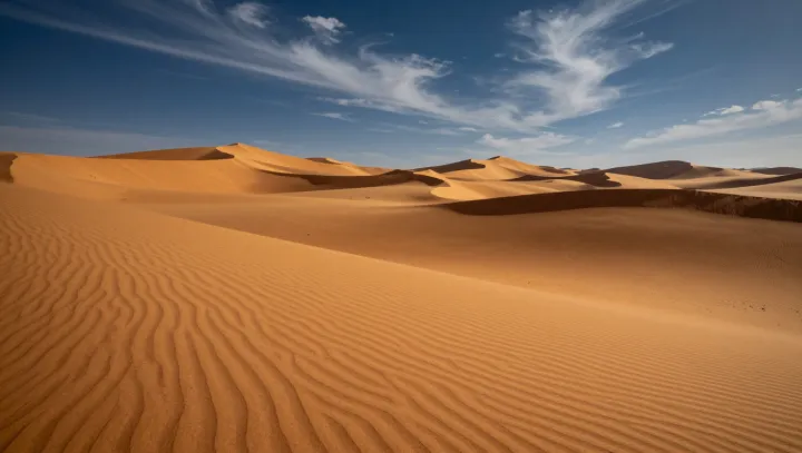 When the Sahara Held Water