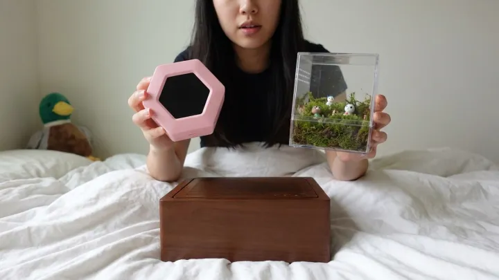 Cyberdecks Shrink From Rigs To TikTok Pets