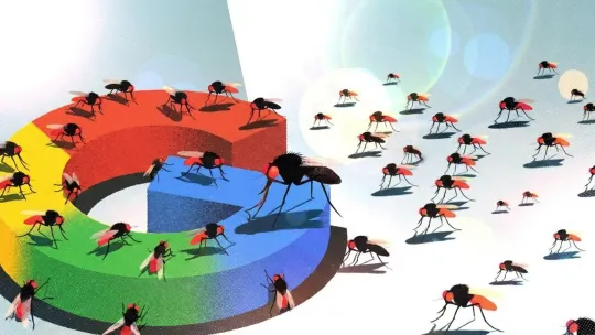 Google’s Mosquito Gambit in Two U.S. States