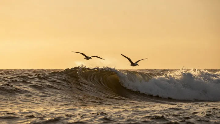 Teaching Wild Birds to Fly With a Camera