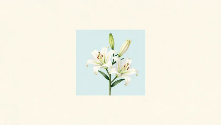 How a white lily hides a coded runway