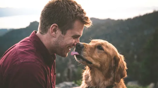 Dogs Mirror Human Aging Signals