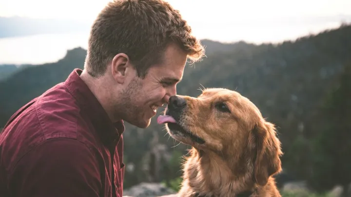 Dogs Mirror Human Aging Signals