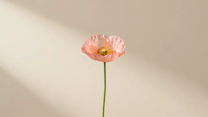 How A Single Blossom Rewrites The Brain