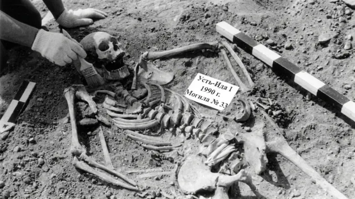 Ancient plague strain hit foragers hard