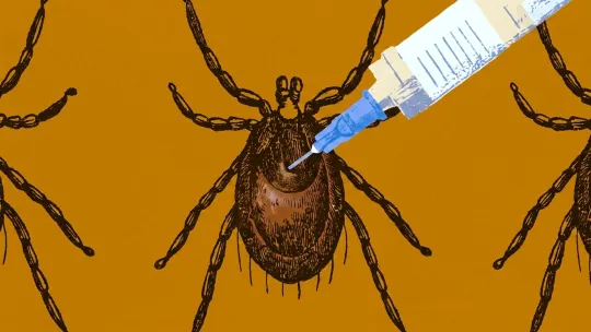 Can a Universal Tick Vaccine Stop Lyme?