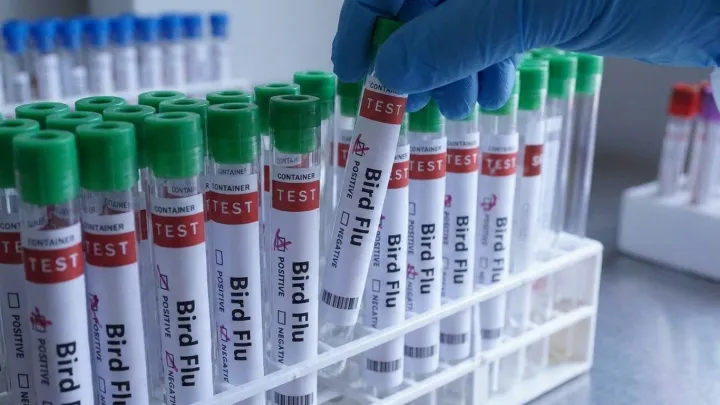 H5N1 bird flu reaches Australian shores
